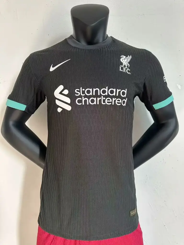 Liverpool 2024-2025 Away Kit  (S, fan)